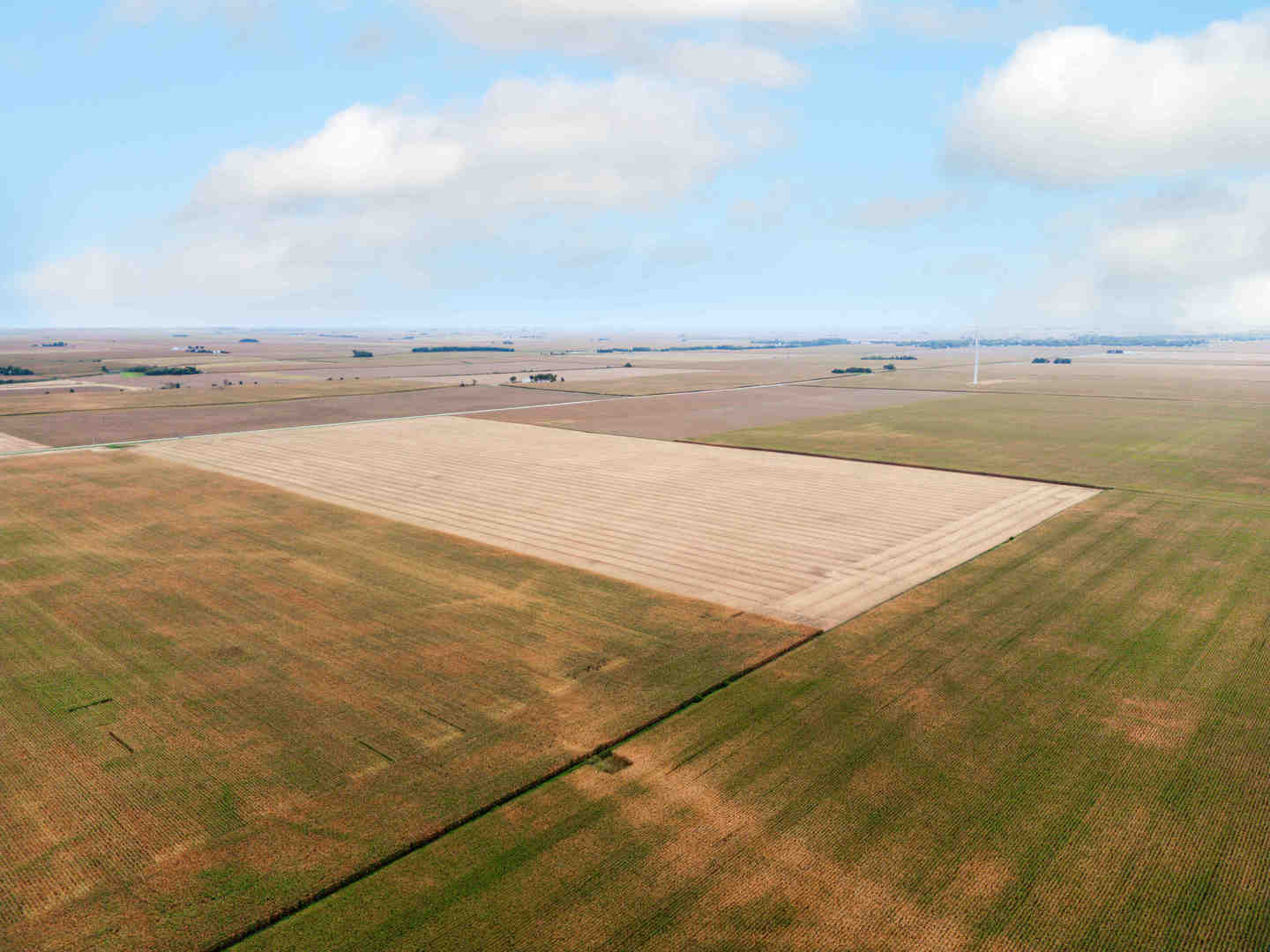 80 Acres Off E 2000 North Road, Anchor, IL 61720