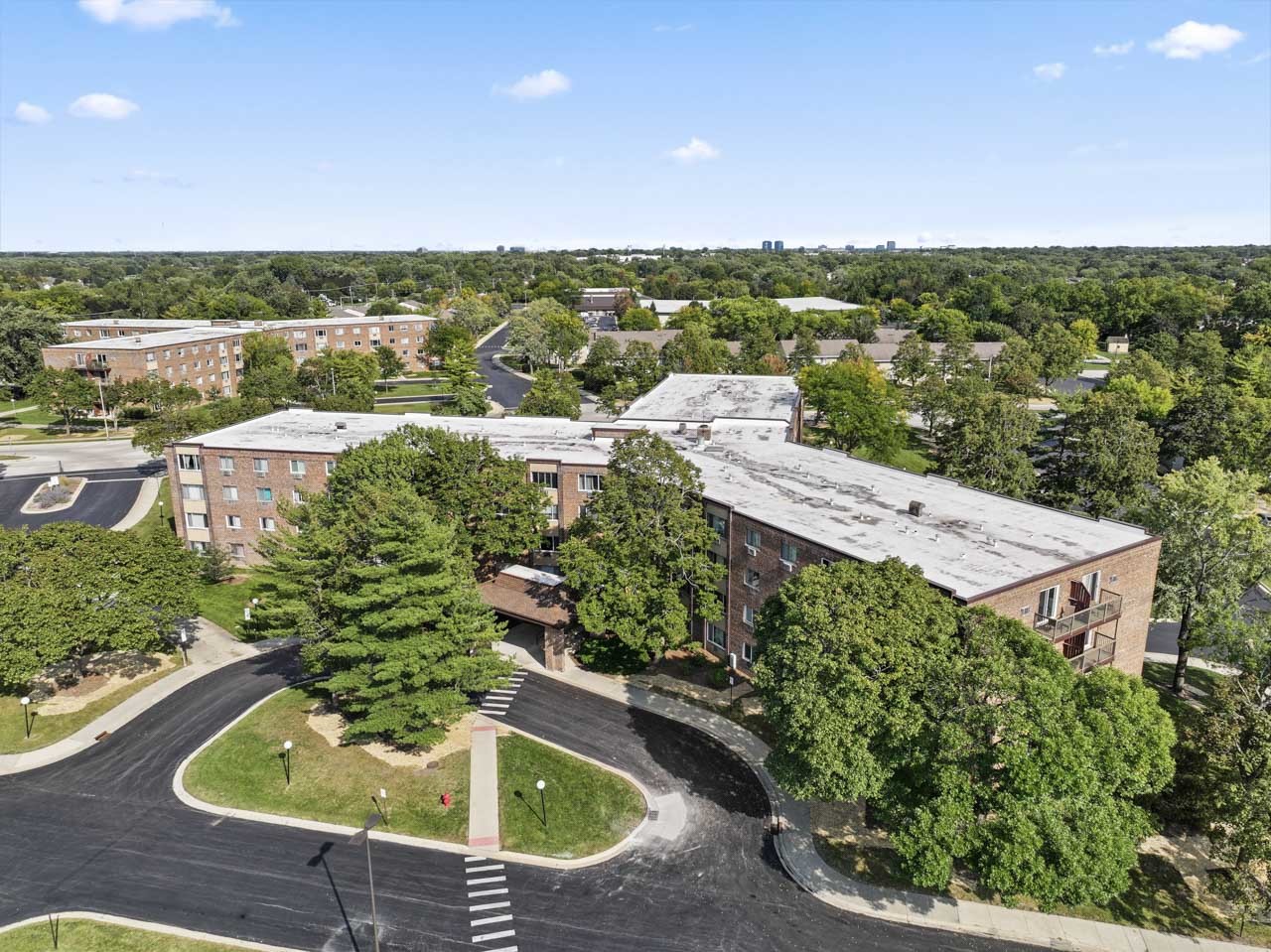 1475 Rebecca Drive #217, Hoffman Estates, IL 60169