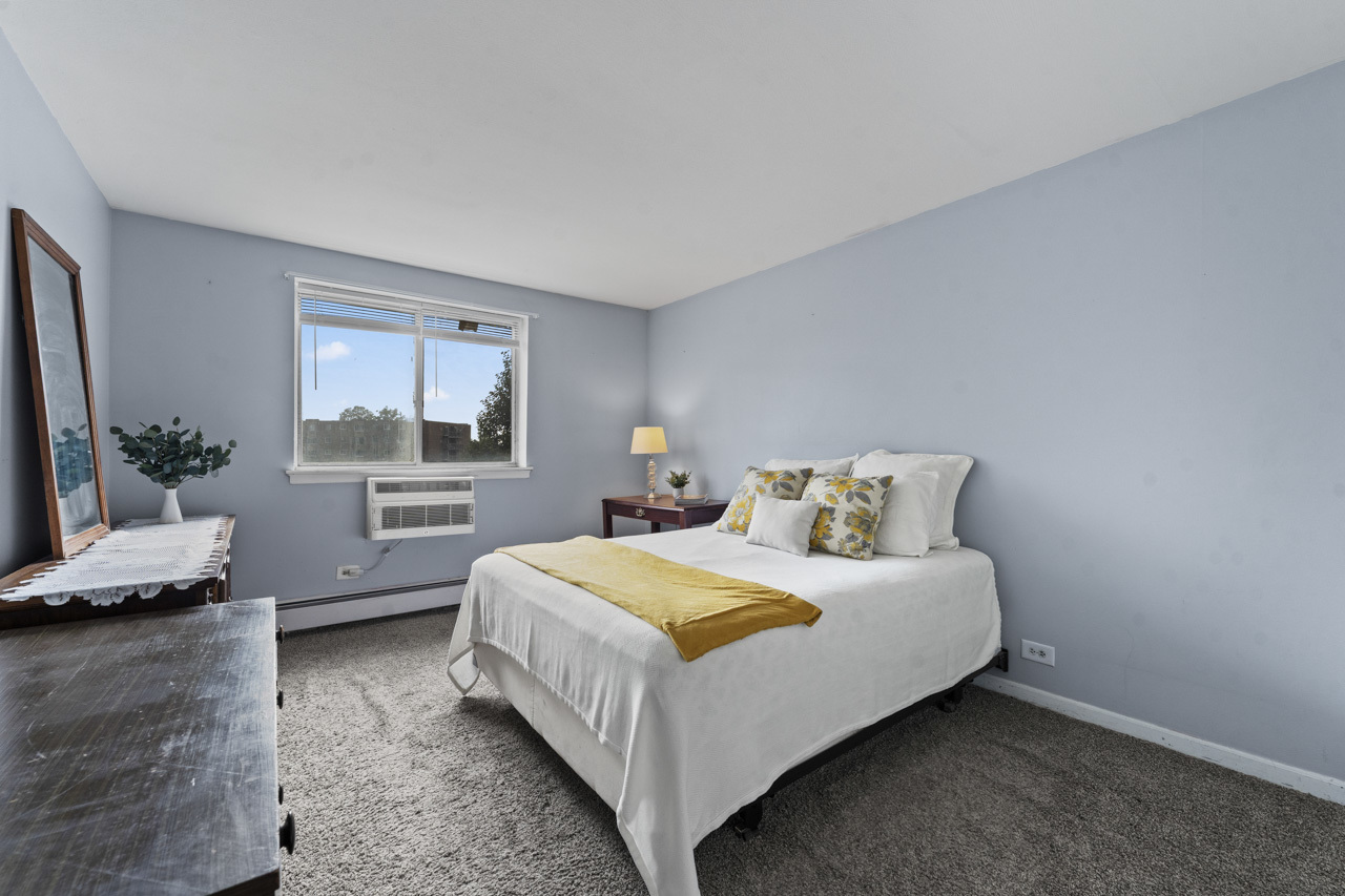 1475 Rebecca Drive #217, Hoffman Estates, IL 60169