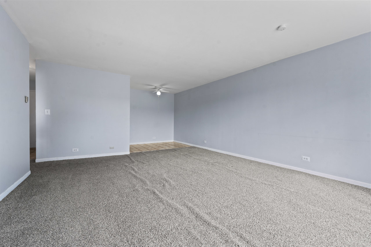 1475 Rebecca Drive #217, Hoffman Estates, IL 60169