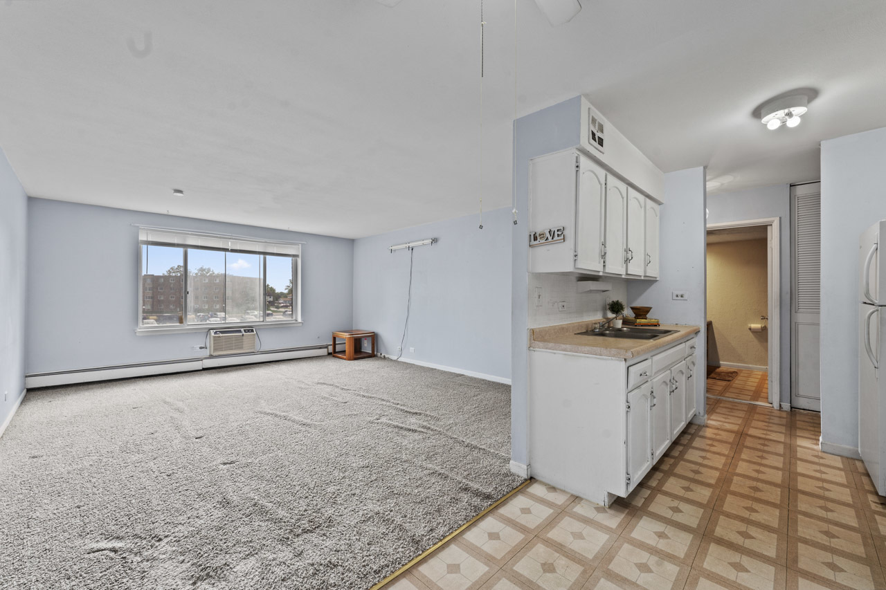 1475 Rebecca Drive #217, Hoffman Estates, IL 60169