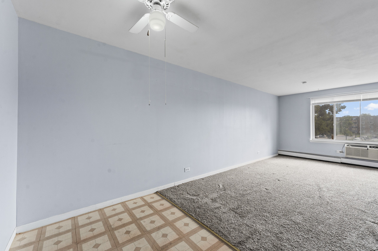 1475 Rebecca Drive #217, Hoffman Estates, IL 60169