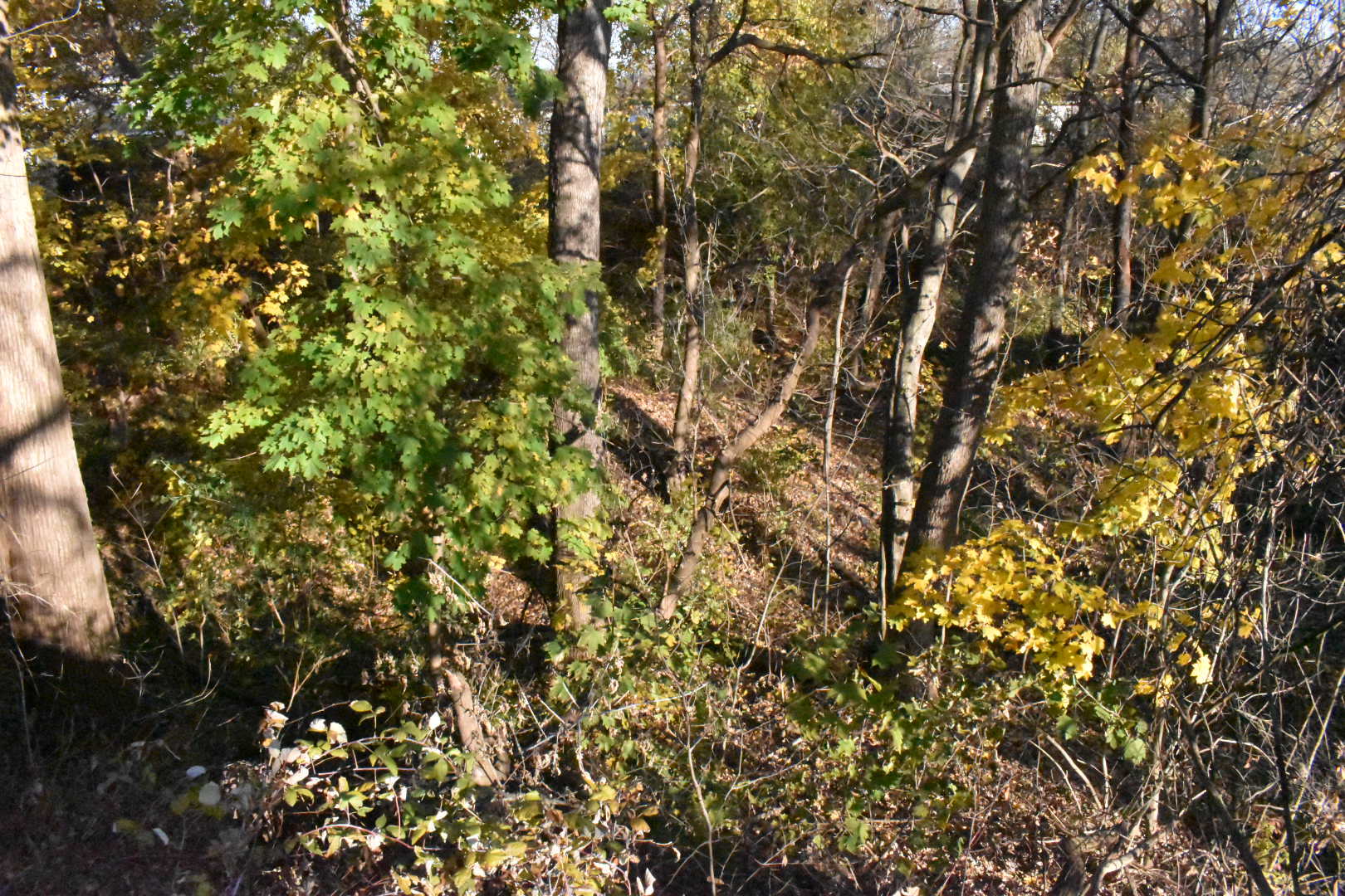 2728 Crystal Lake Road, Cary, IL 60013