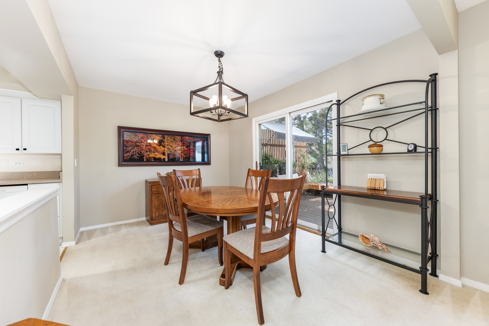 1505 Ranchview Drive, Naperville, IL 60565