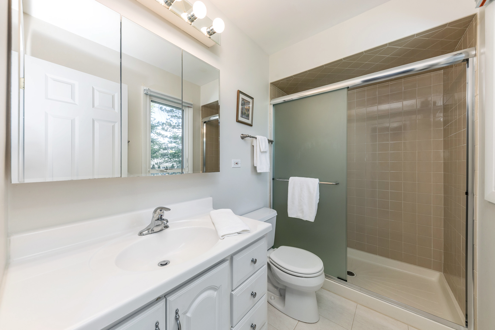 1505 Ranchview Drive, Naperville, IL 60565
