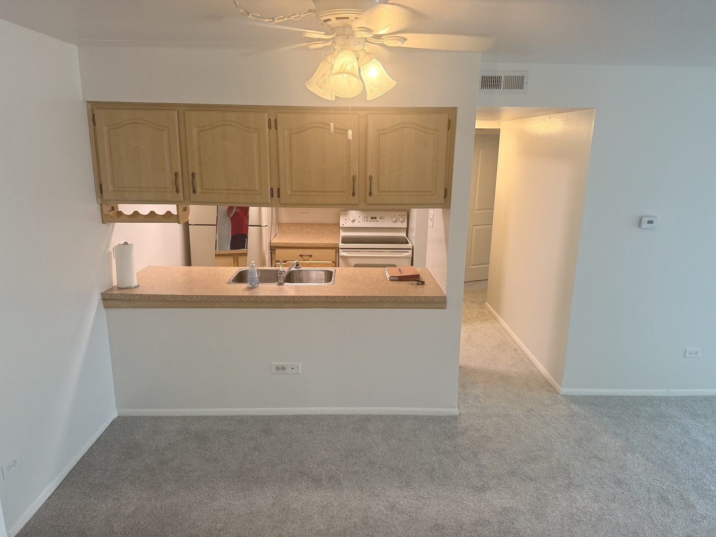 13933 James Drive #820, Crestwood, IL 60418