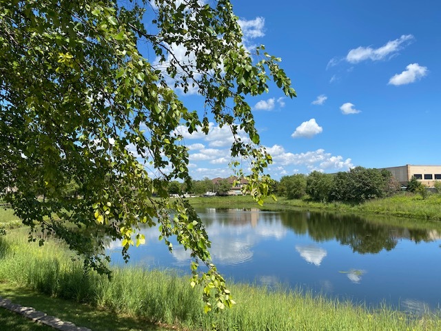 1817 CRENSHAW Circle, Vernon Hills, IL 60061