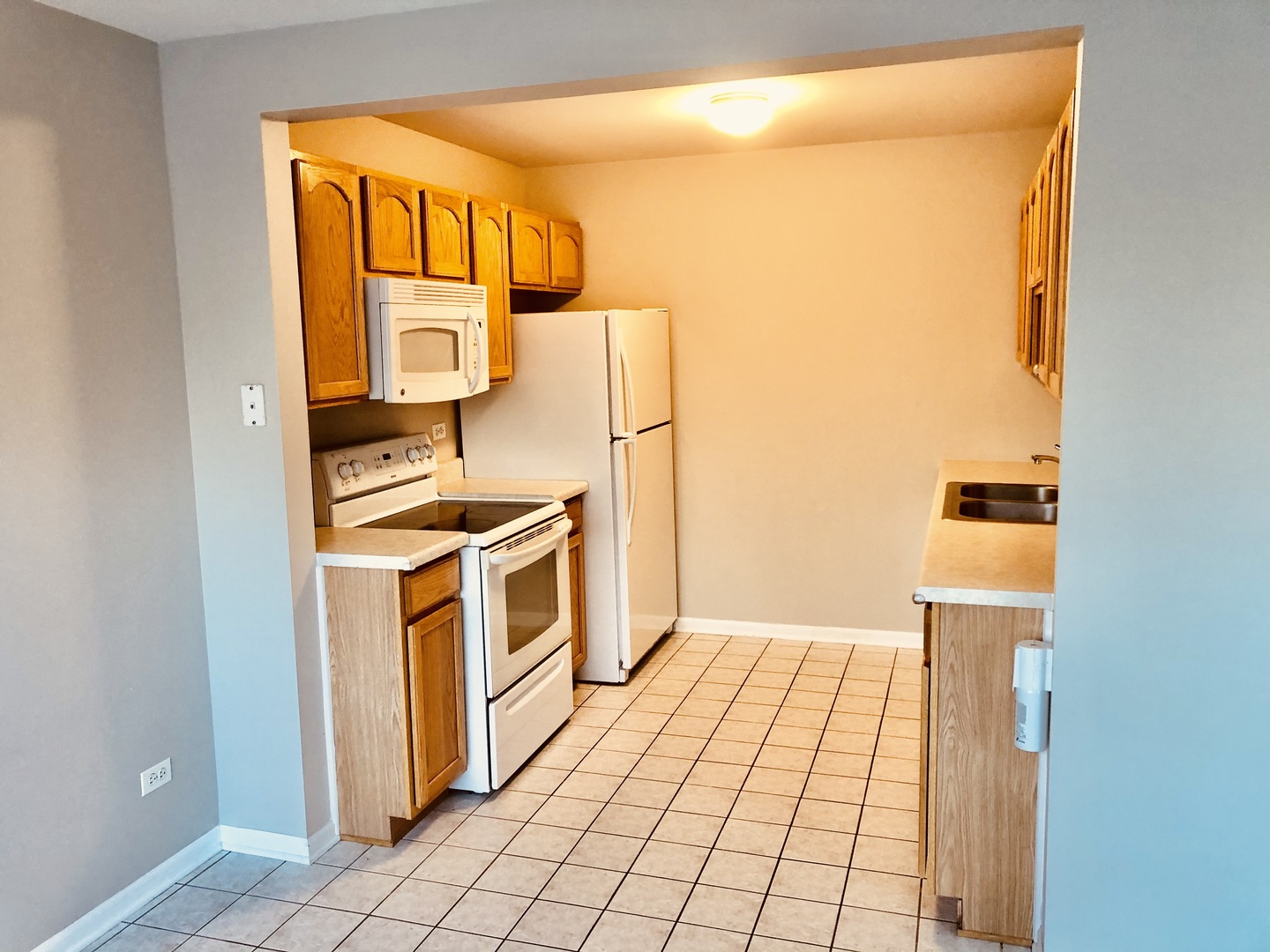 928 N Village Drive #1, Round Lake Beach, IL 60073