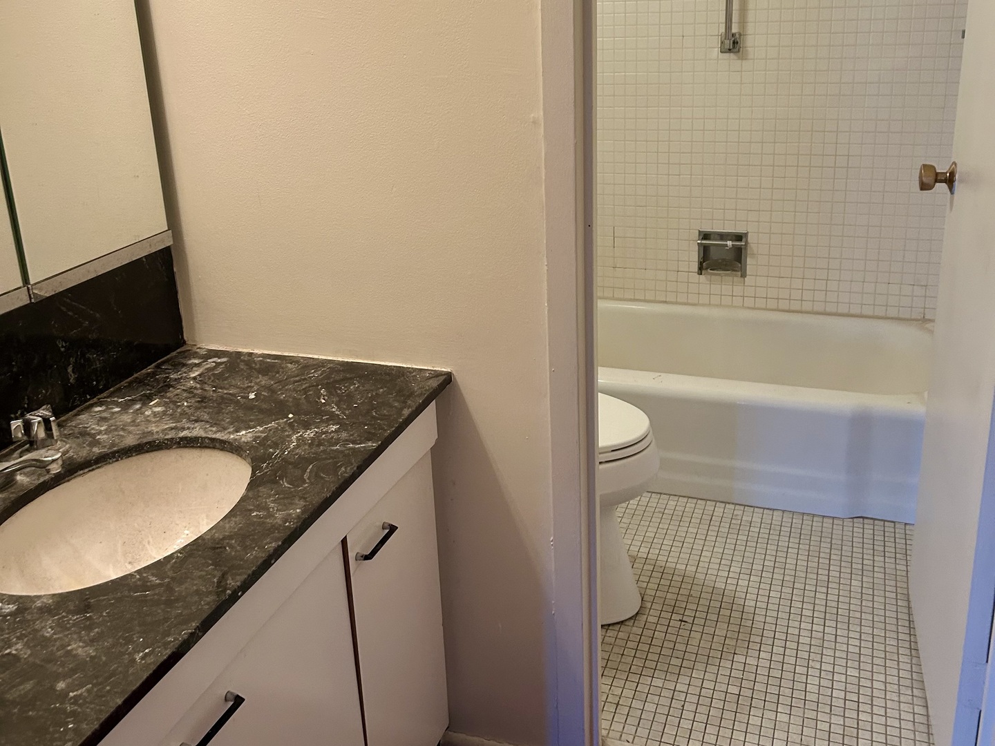 400 E Randolph Street #1510, Chicago, IL 60601