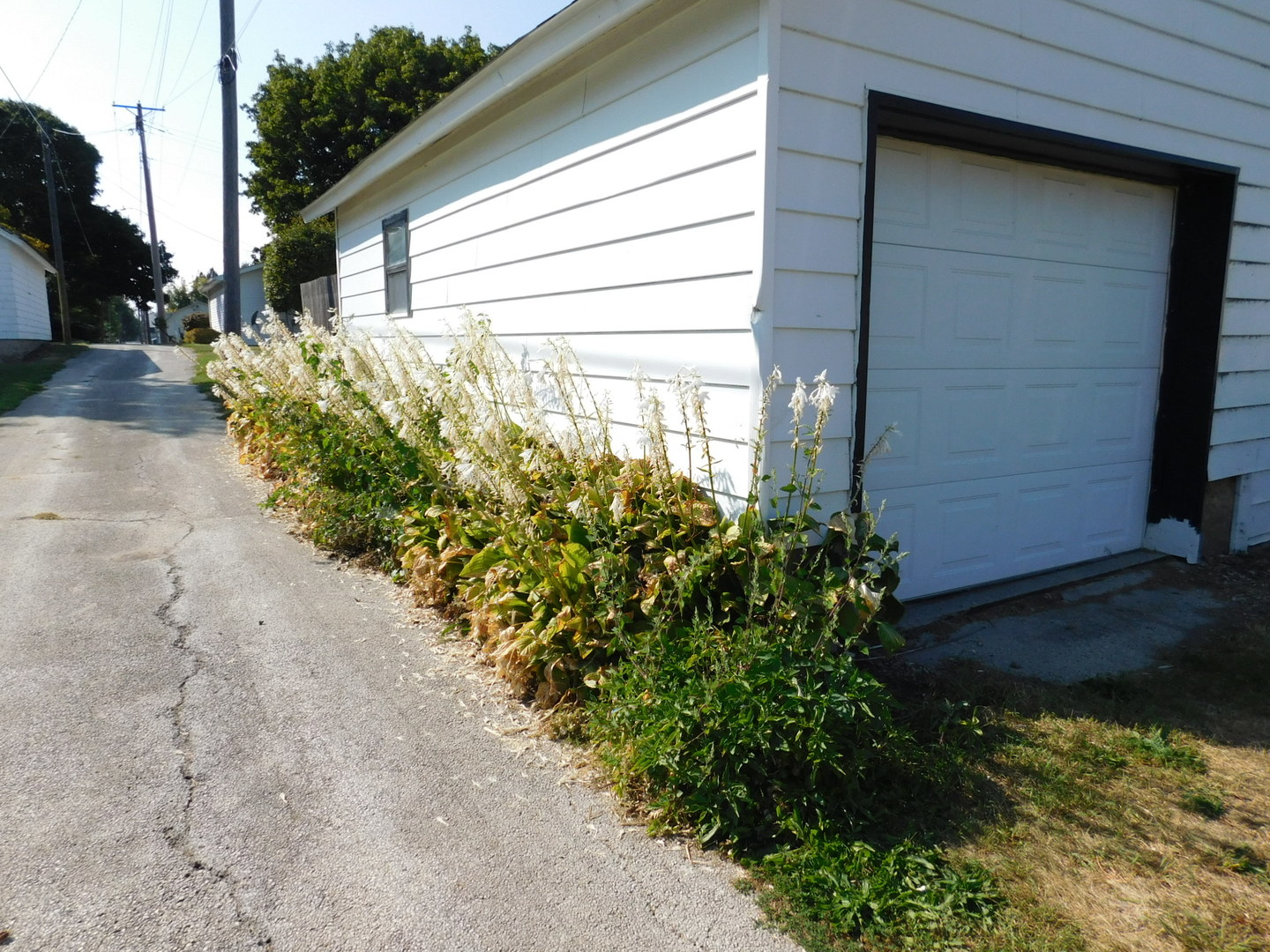 305 E Comanche Avenue, Shabbona, IL 60550