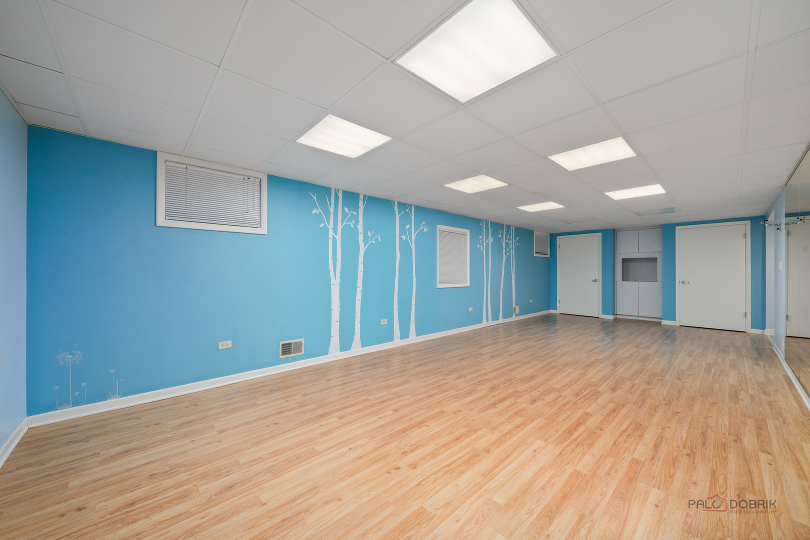 6 Devonshire Lane, Lincolnshire, IL 60069