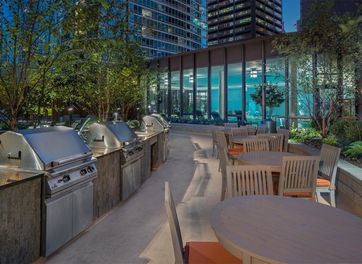 333 E Ontario Street #4511, Chicago, IL 60611