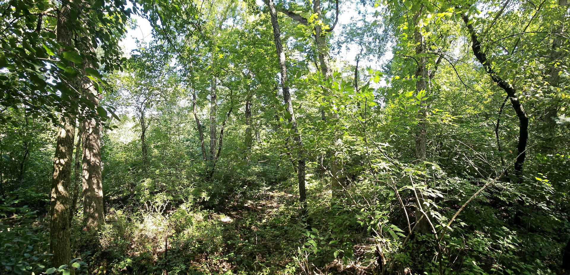 4N621 Pathfinder Drive, Elburn, IL 60119