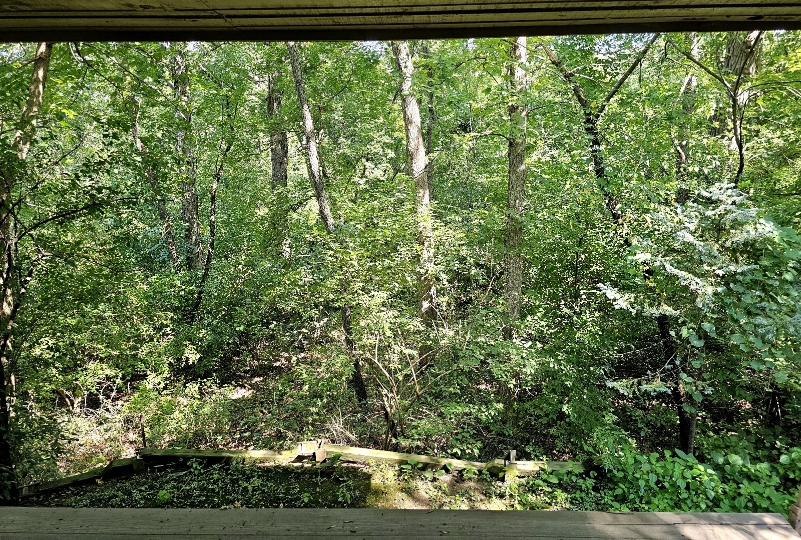 4N621 Pathfinder Drive, Elburn, IL 60119