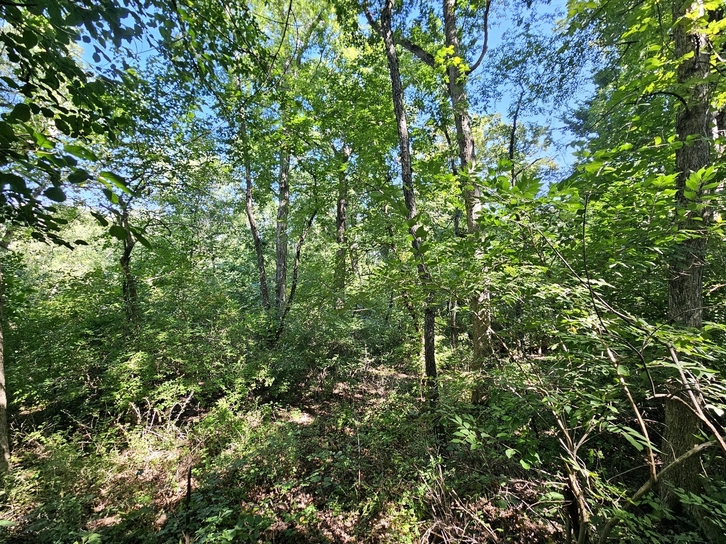 4N621 Pathfinder Drive, Elburn, IL 60119