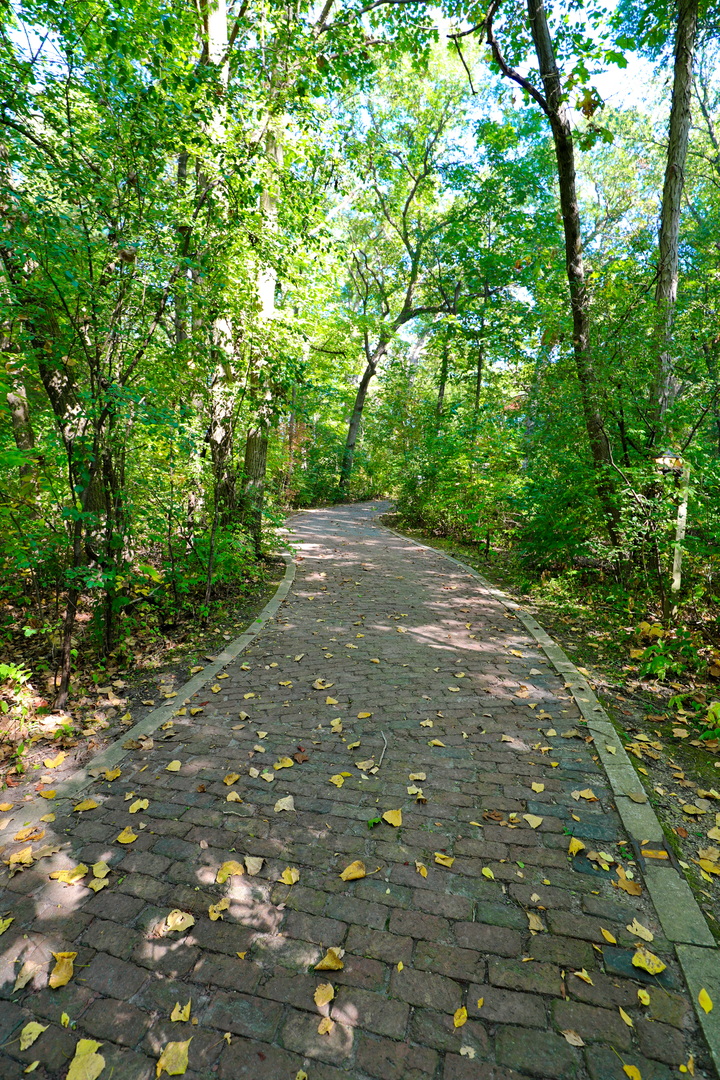 4N621 Pathfinder Drive, Elburn, IL 60119