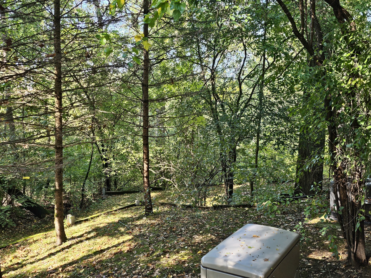 4N621 Pathfinder Drive, Elburn, IL 60119