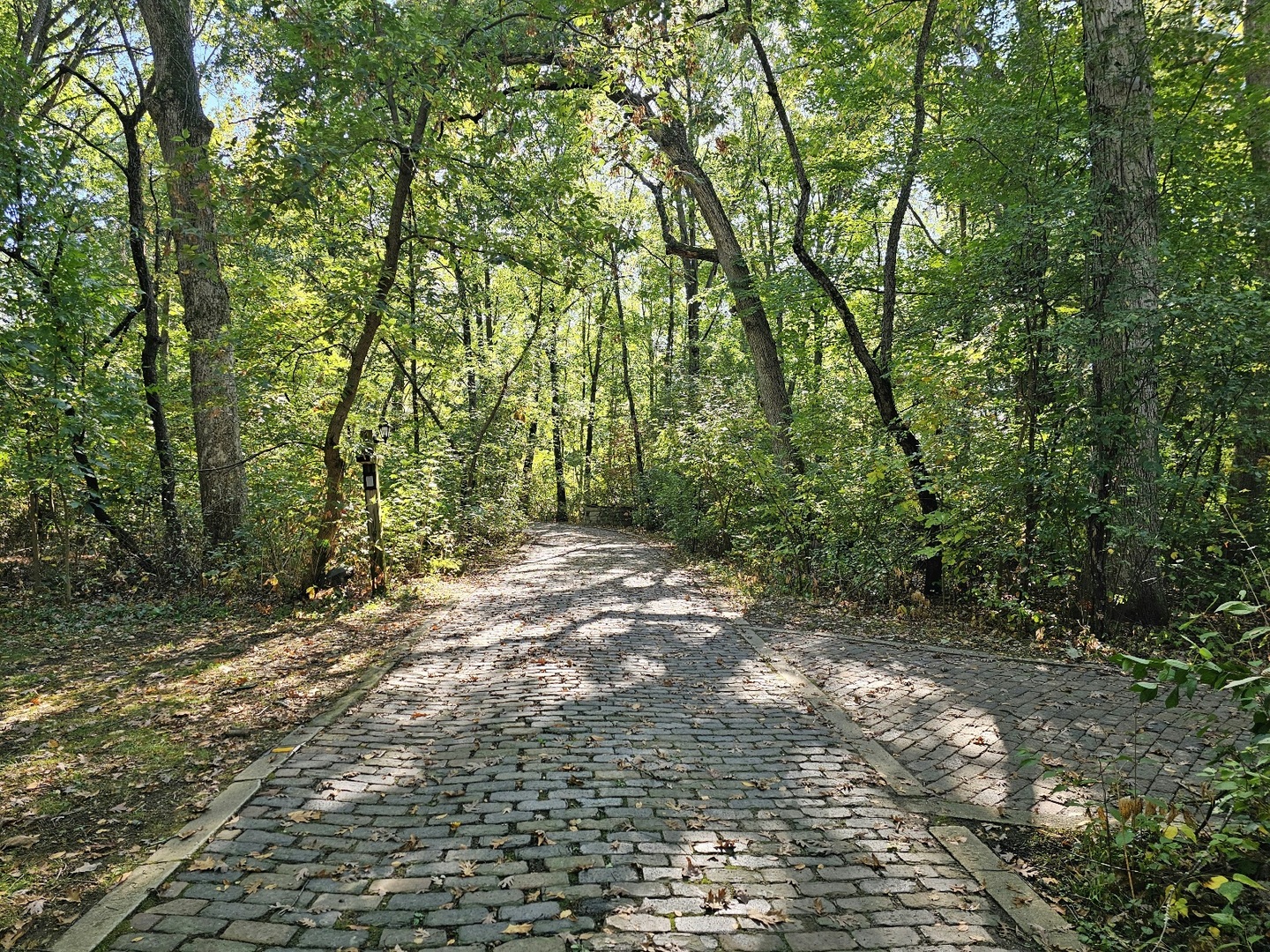 4N621 Pathfinder Drive, Elburn, IL 60119