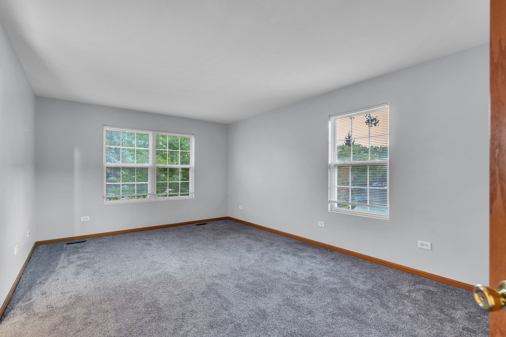308 S Fieldstone Court, Round Lake, IL 60073