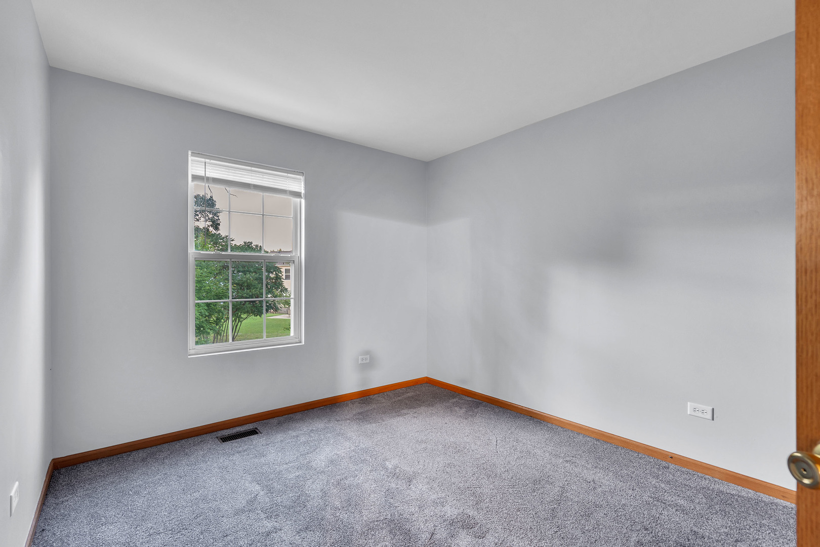 308 S Fieldstone Court, Round Lake, IL 60073