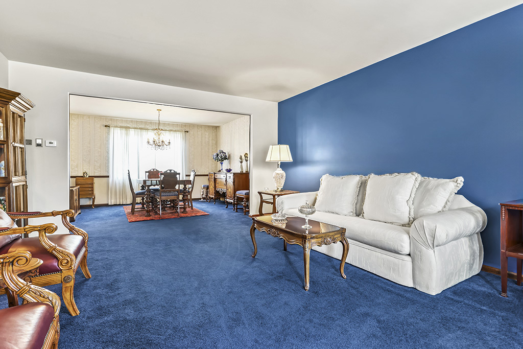 14124 Pheasant Lane, Orland Park, IL 60467