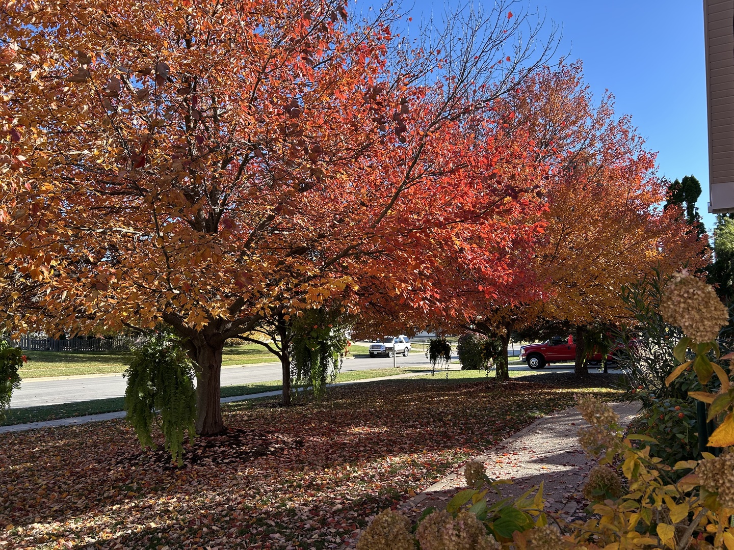 2006 Woodbine Road, Bloomington, IL 61704