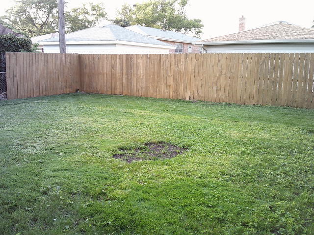 2918 W 99th Place, Evergreen Park, IL 60805