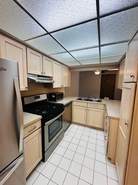 13422 W Circle Drive #401, Crestwood, IL 60418