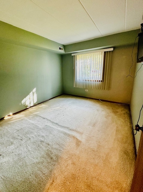 13422 W Circle Drive #401, Crestwood, IL 60418