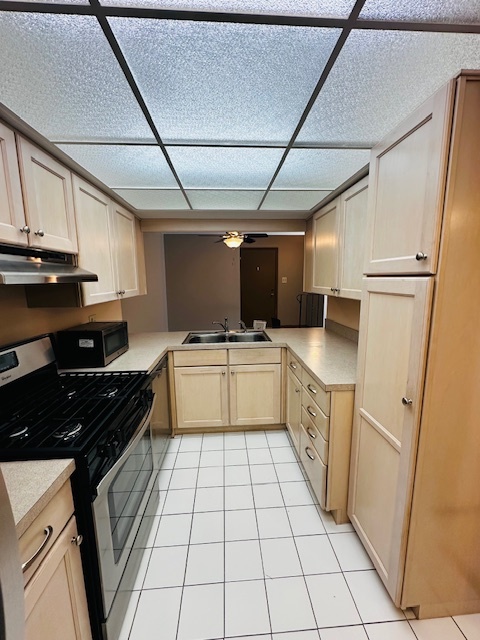 13422 W Circle Drive #401, Crestwood, IL 60418