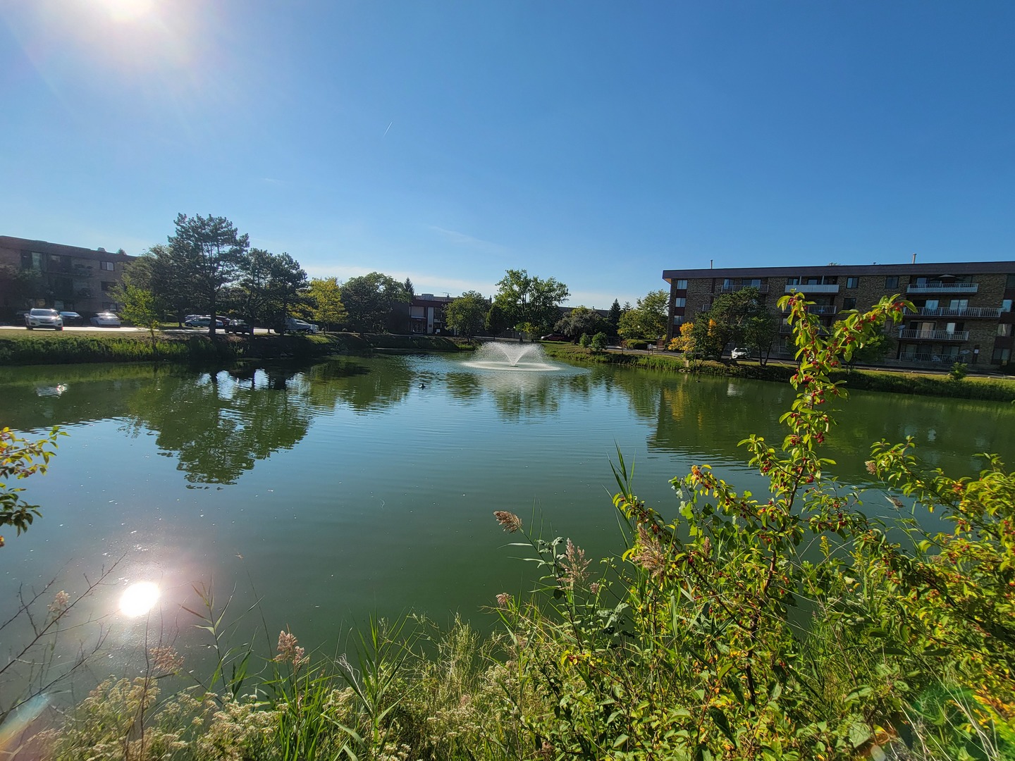 5406 Chateau Drive #4, Rolling Meadows, IL 60008