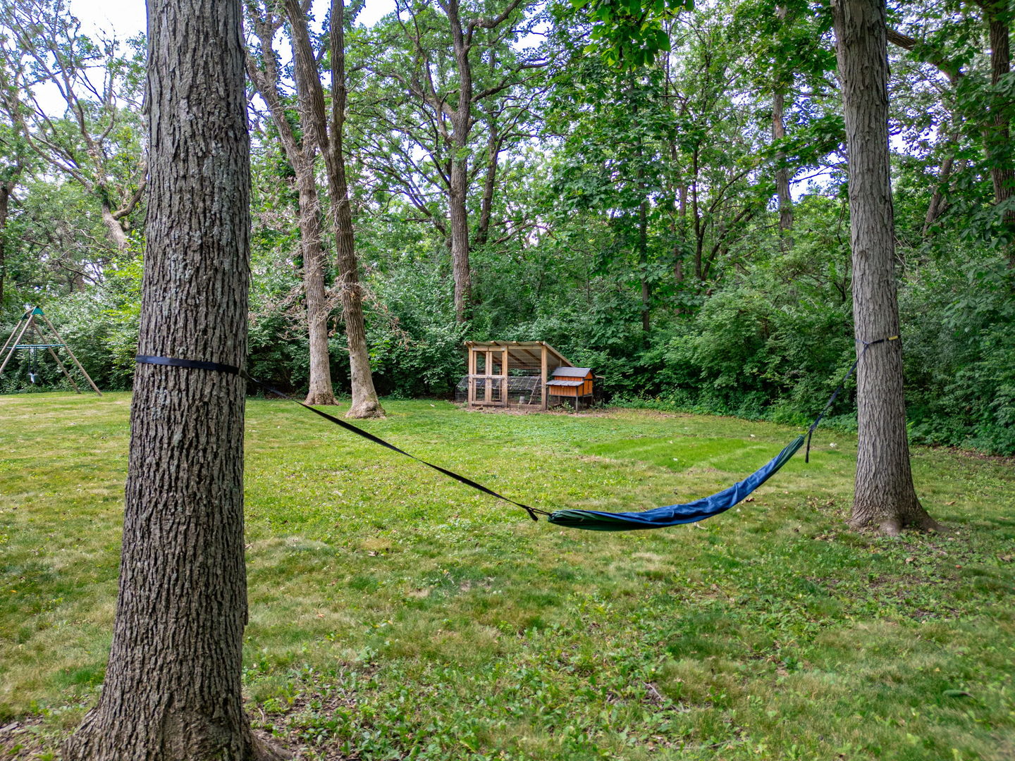 1313 Chatham Lane, Woodstock, IL 60098