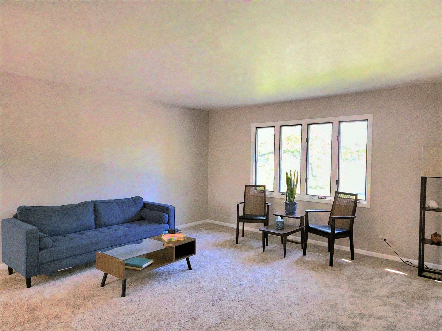 205 Countryside Lane, Lindenhurst, IL 60046