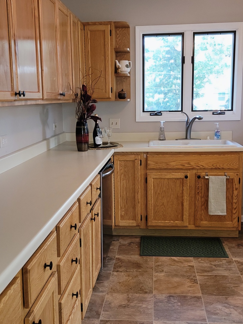 205 Countryside Lane, Lindenhurst, IL 60046