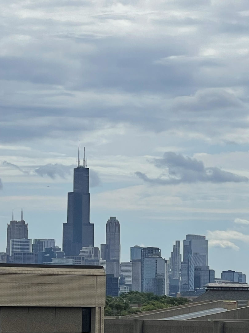1444 N Western Avenue #3N, Chicago, IL 60622