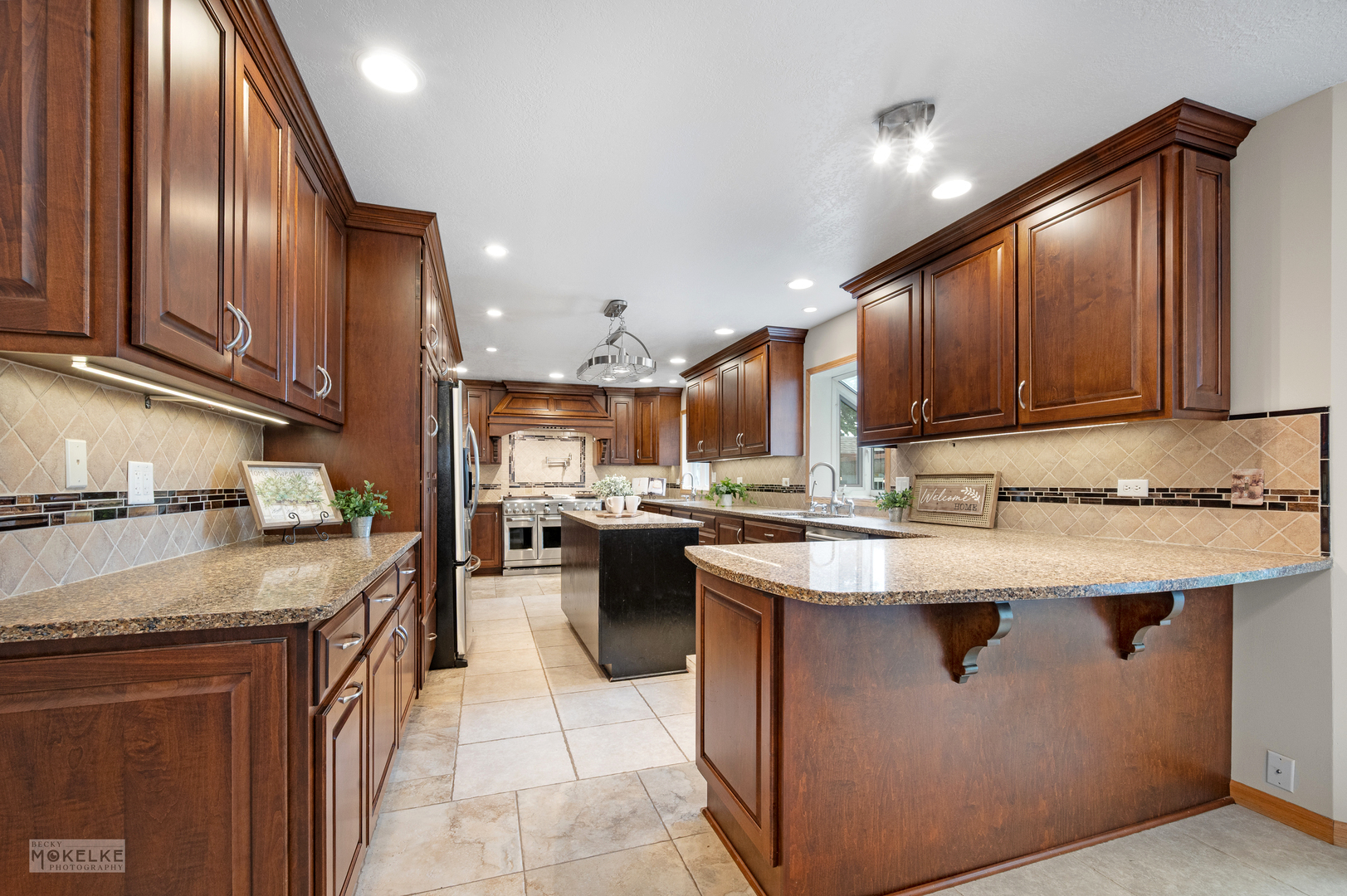1701 Grand Prairie Drive, New Lenox, IL 60451