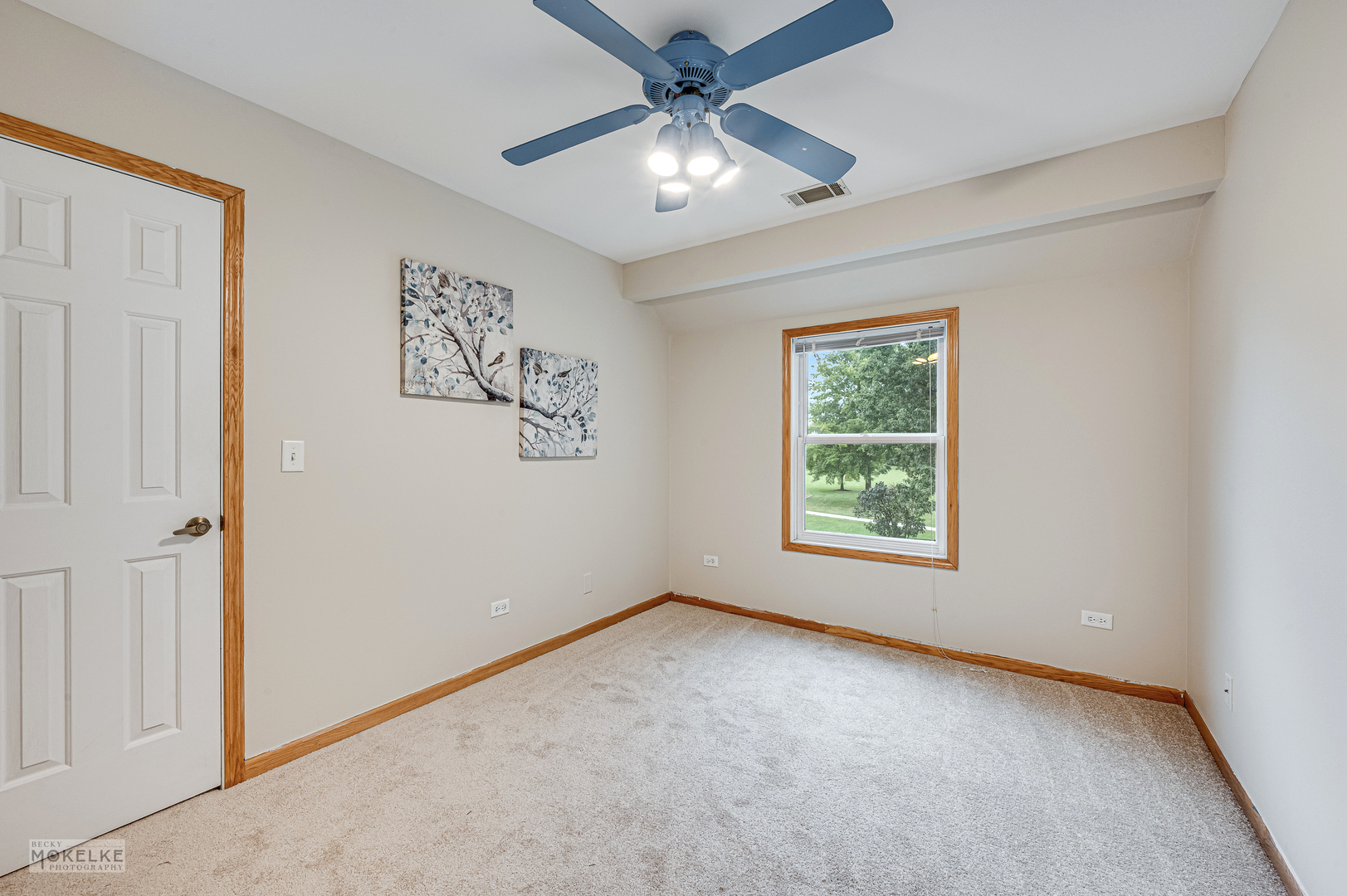 1701 Grand Prairie Drive, New Lenox, IL 60451