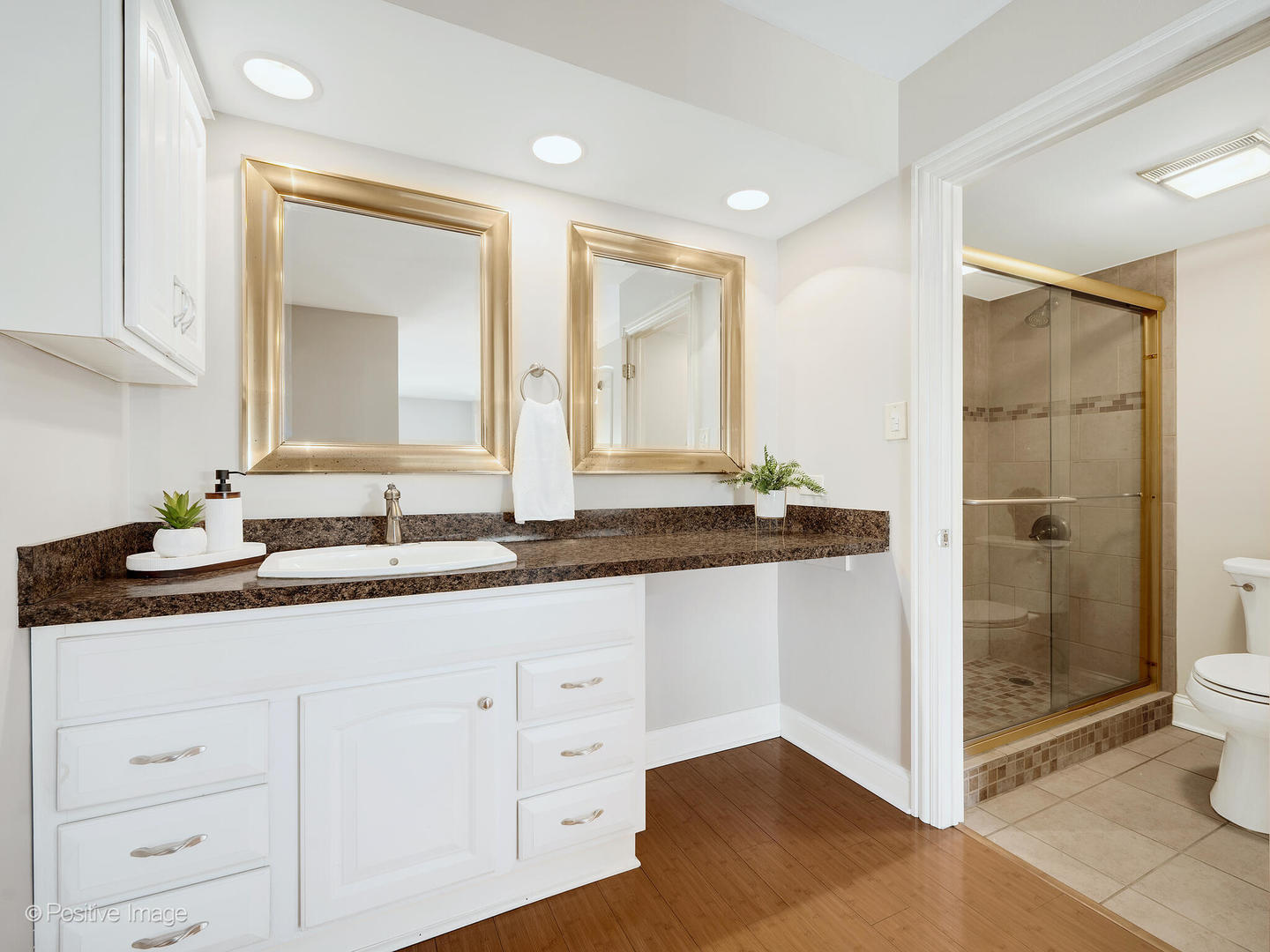 465 W Dominion Drive #909, Wood Dale, IL 60191