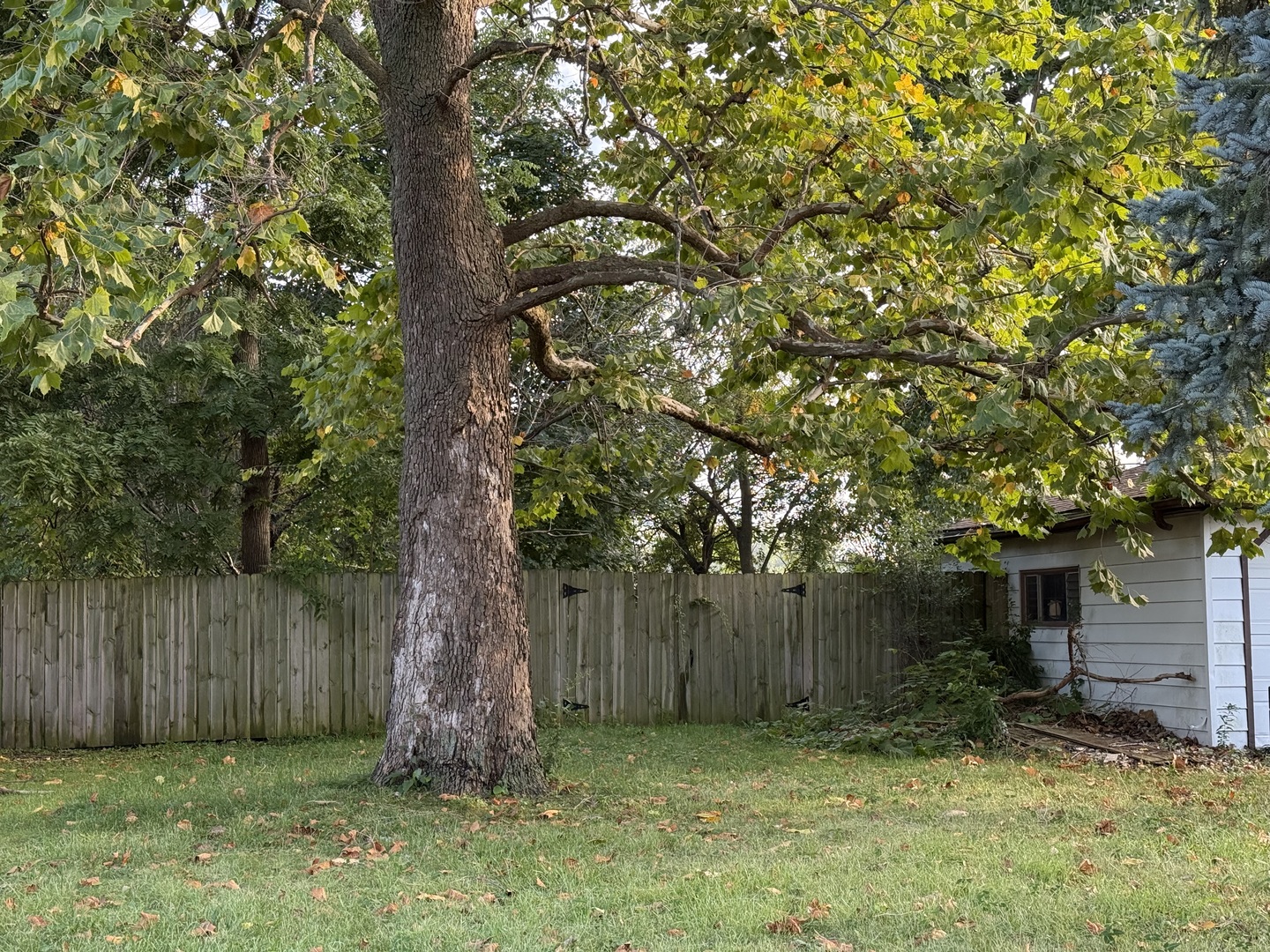 3027 Argonne Drive, North Chicago, IL 60064