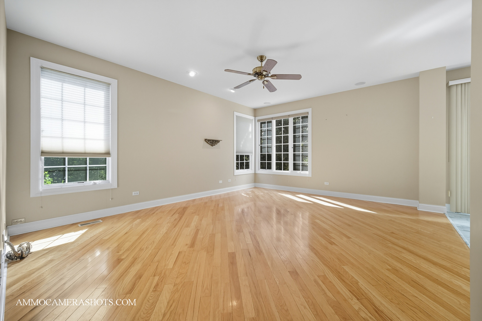 802 Willow Court, Itasca, IL 60143