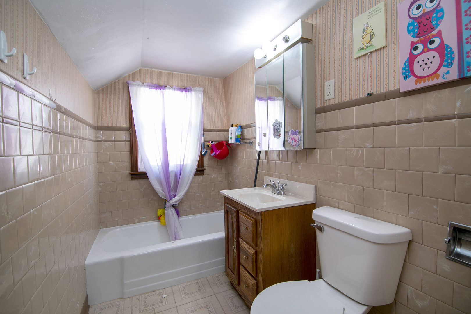 507 S Hamilton Street, Lockport, IL 60441