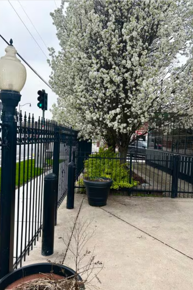 13325 Olde Western Avenue, Blue Island, IL 60406