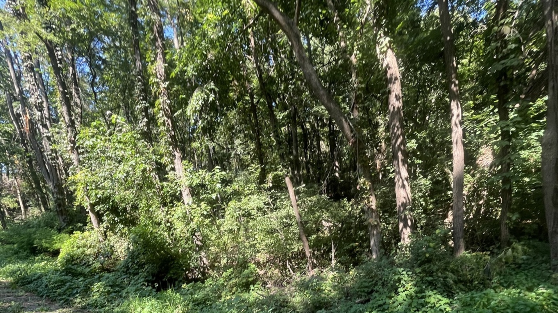 7 W Arrowhead Drive, Galena, IL 61036