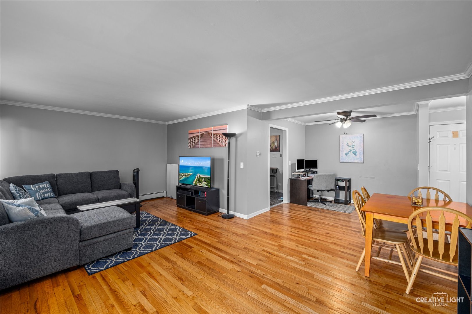 501 Carlysle Drive #9, Clarendon Hills, IL 60514