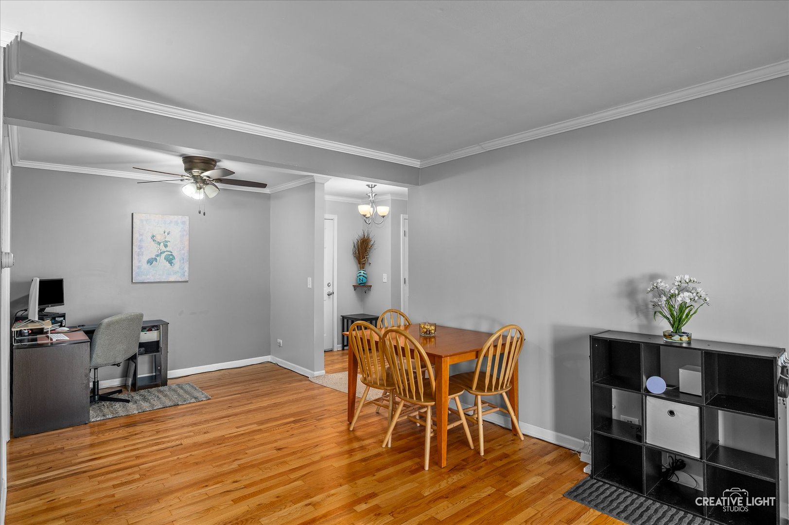 501 Carlysle Drive #9, Clarendon Hills, IL 60514