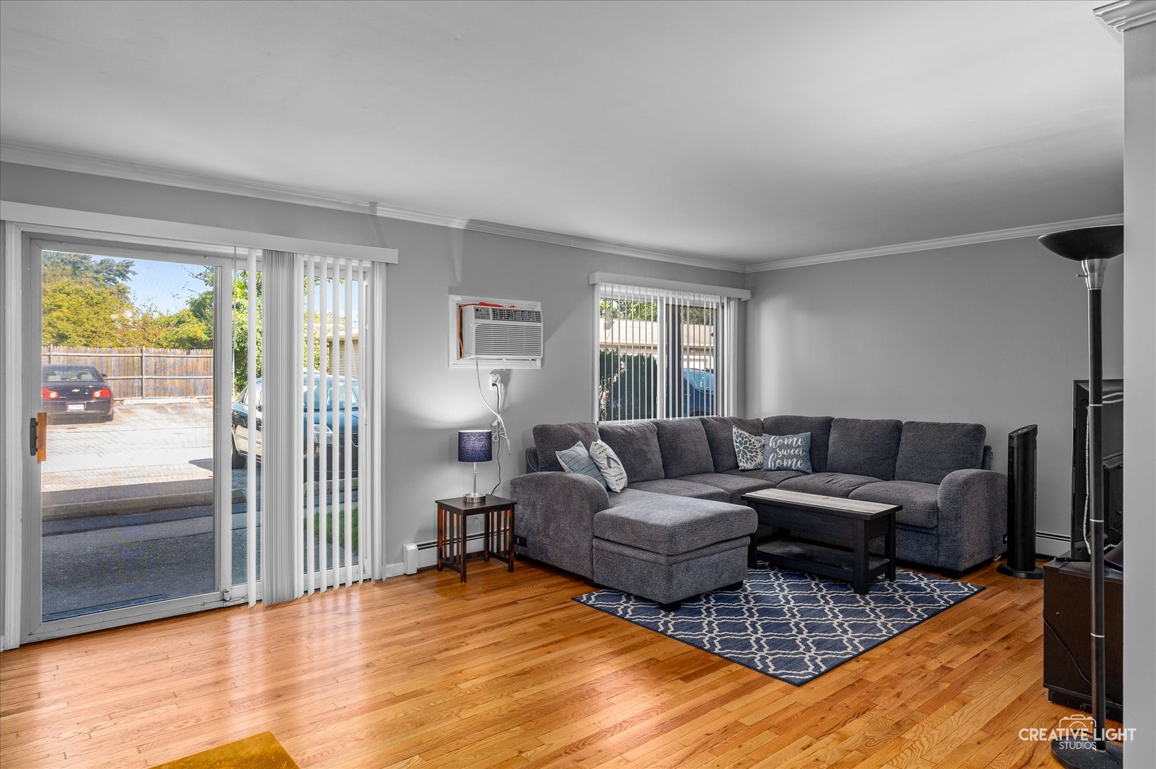 501 Carlysle Drive #9, Clarendon Hills, IL 60514