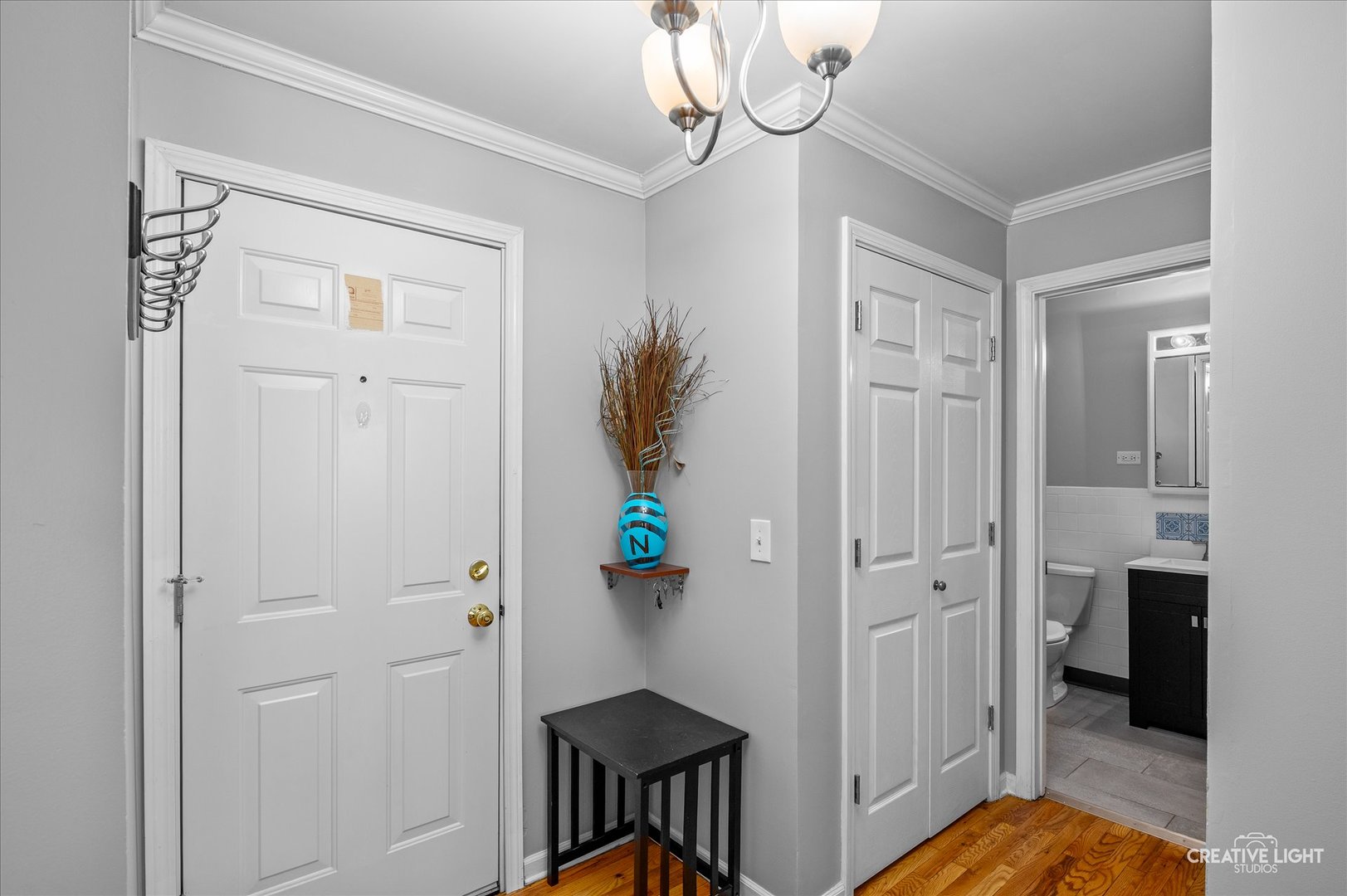 501 Carlysle Drive #9, Clarendon Hills, IL 60514