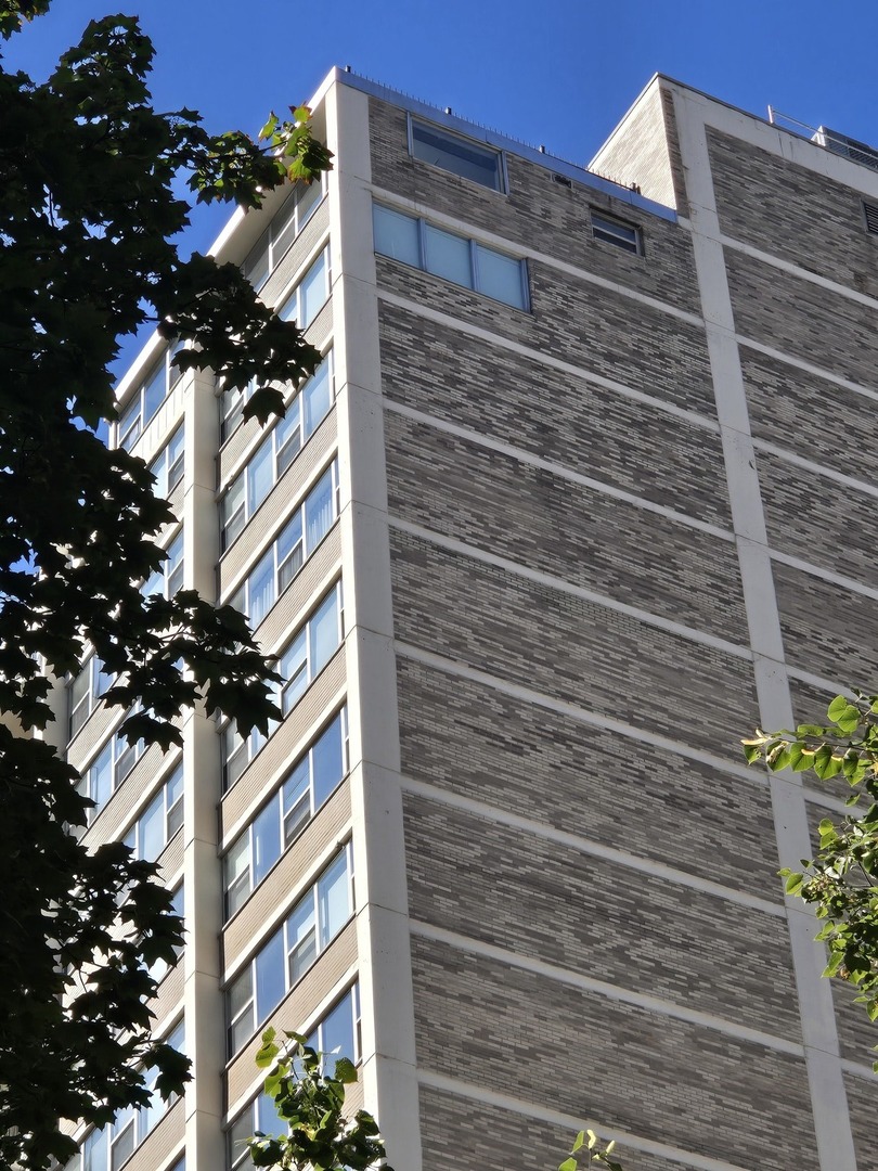 40 E Cedar Street #21C, Chicago, IL 60611