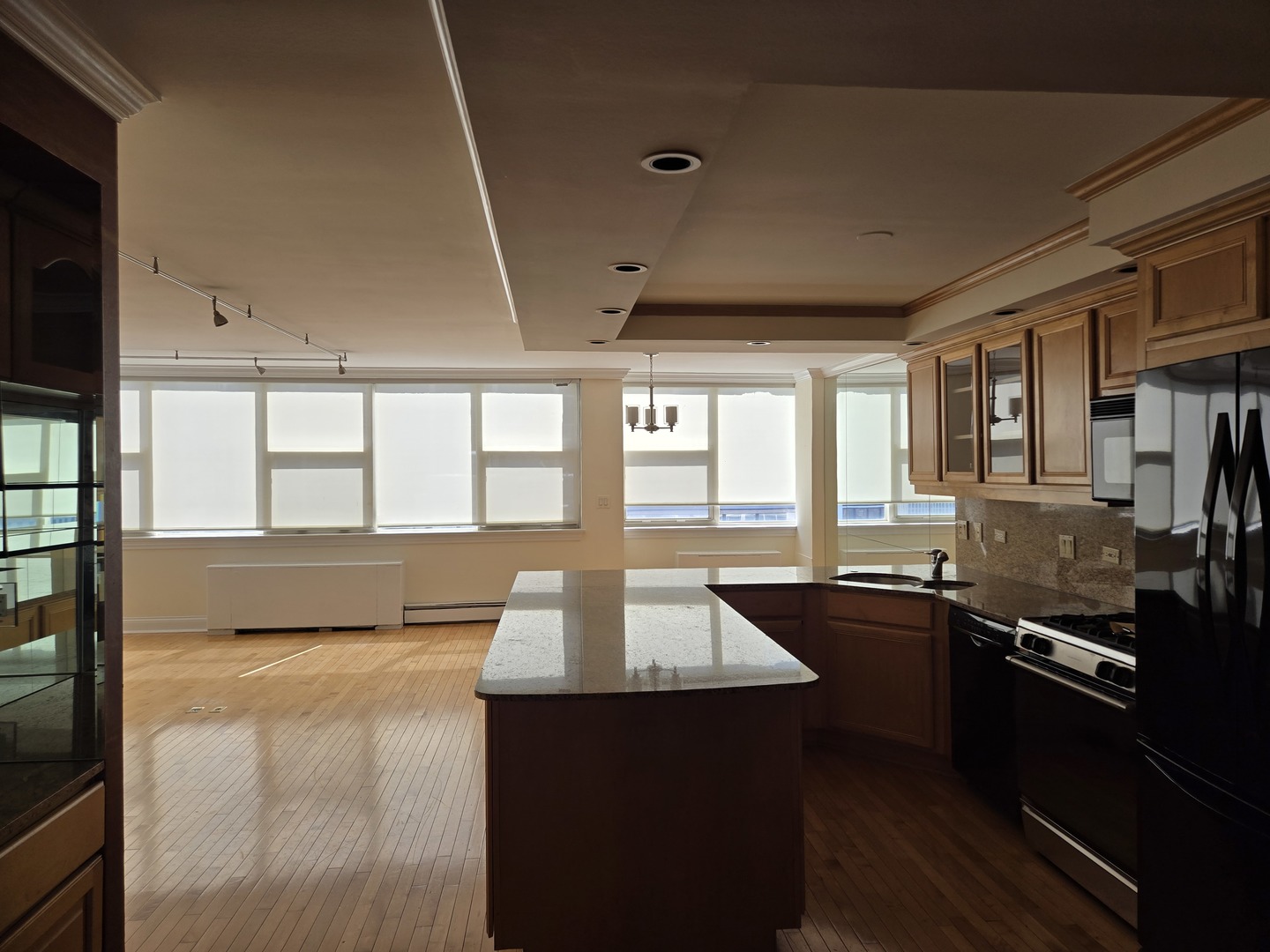 40 E Cedar Street #21C, Chicago, IL 60611