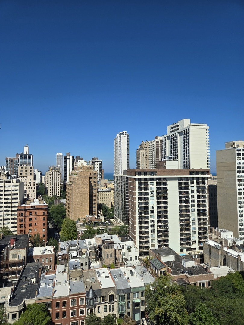 40 E Cedar Street #21C, Chicago, IL 60611